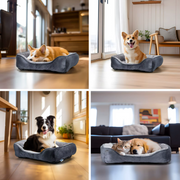 Canapé pour Chien Lavable – Confort et Hygiène au Quotidien