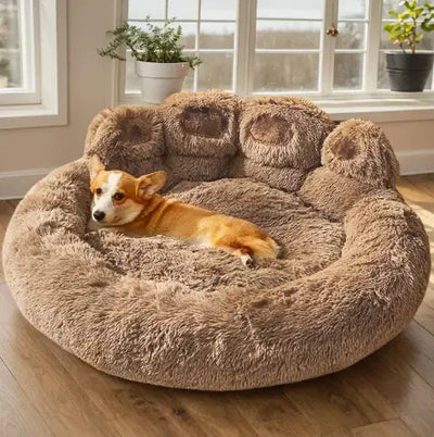 Canapé Moelleux – Un cocon de douceur et de confort Chien