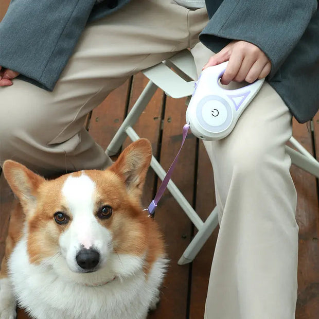 Laisse Rétractable pour Chien – Liberté et Sécurité
